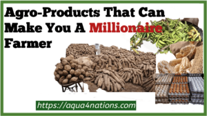 Agro Products That Can Make You A Millionaire