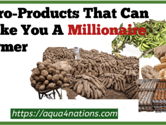 Agro Products That Can Make You A Millionaire