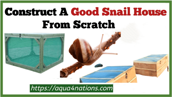 Construct A Good Snail House From Scratch