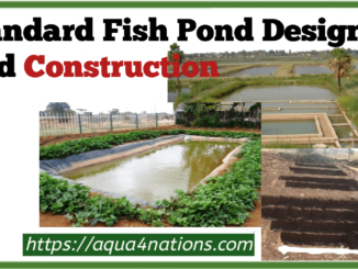 Design and construct standard fish pond