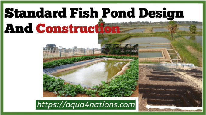 Design and construct standard fish pond