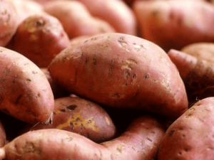 Sweet-Potato-agro-products-that-can-make-you-a-millionaire-farmer