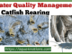 water-quality-management-in-catfish-rearing