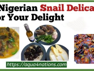 2 Nigerian Snail Delicacy For Your Delight