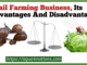 Snail Farming Business, Its Advantages And Disadvantages