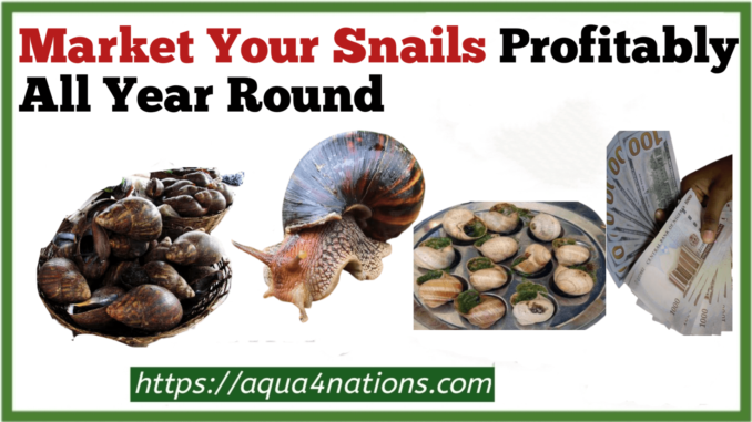 Market Your Snails Profitably All Year Round