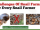 Challenges Of Snail Farming For Every Snail Farmer