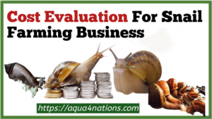 Cost Evaluation For Snail Farming Business