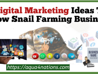 6 Digital Marketing Ideas To Grow Snail Farming Business