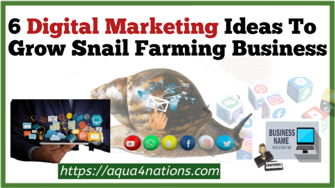 6 Digital Marketing Ideas To Grow Snail Farming Business