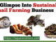 A Glimpse Into Sustainable Snail Farming Business
