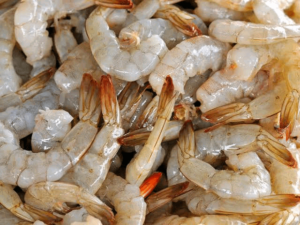 Common Mistakes To Avoid In Shrimp Culture