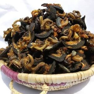 Sustainable Snail Farming: Dried Snail Meat