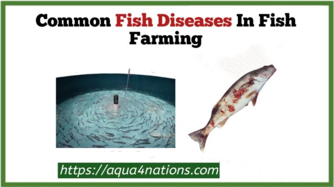 Fish diseases