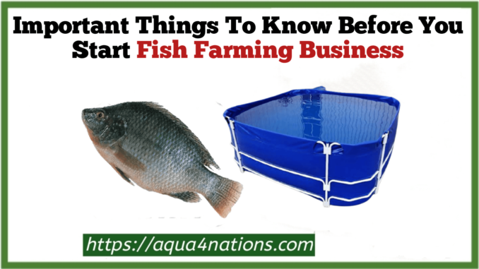 Fish farming business