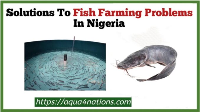 Fish farming problems