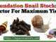 Foundation Snail Stock A Factor For Maximum Yield