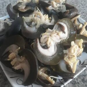 How To Process Snail Meat For Sale