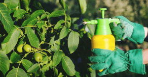 How To Locally Produce A Multipurpose Organic Pesticide