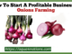 Onions farming