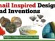 Snail Inspired Designs And Inventions