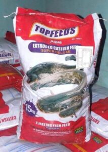 Types of fish feed