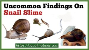 Uncommon Findings On Snail Slime