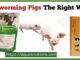 Deworming Pigs The Right Way