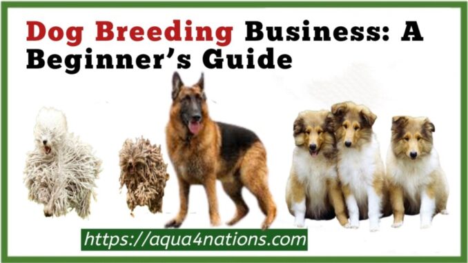 Dog Breeding Business: A Beginner’s Guide