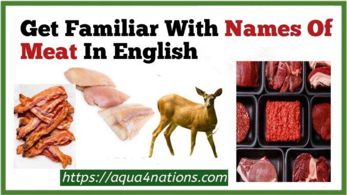 Get Familiar With Names Of Meat In English - Aqua4Nations