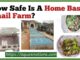 How Safe Is A Home Based Snail Farm?