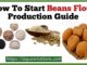 How To Start Beans Flour Production Guide