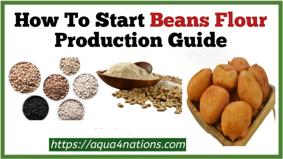 How To Start Beans Flour Production Guide Aqua4Nations