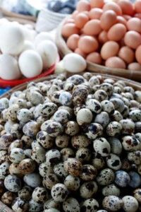 Here Is Why You Should Eat Quail Eggs