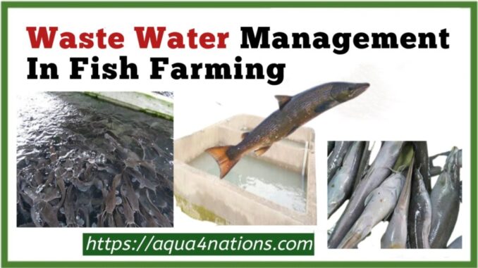 Waste Water Management In Fish Farming