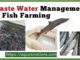 Waste Water Management In Fish Farming