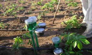 Technology In Agriculture; An Answered Prayer