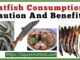 Catfish Consumption; Caution And Benefits