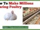 How To Make Millions Rearing Poultry