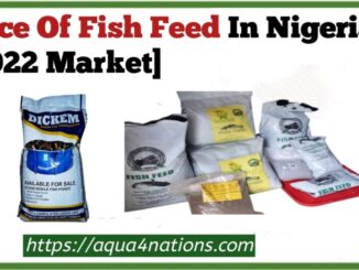 Price Of Fish Feed In Nigeria [2022 Market]