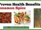 7 proven Health Benefits of Cinnamon Spice