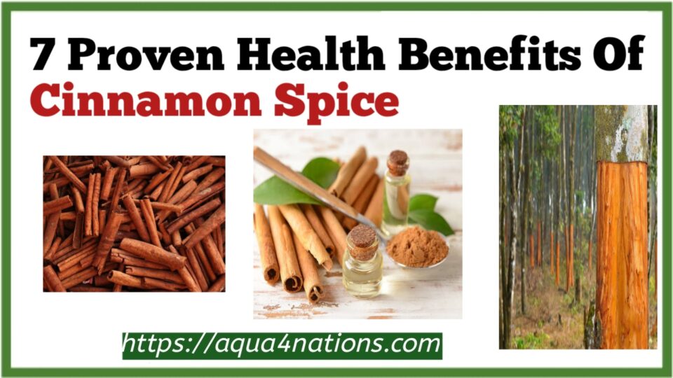 7 Proven Health Benefits Of Cinnamon Spice Aqua4nations