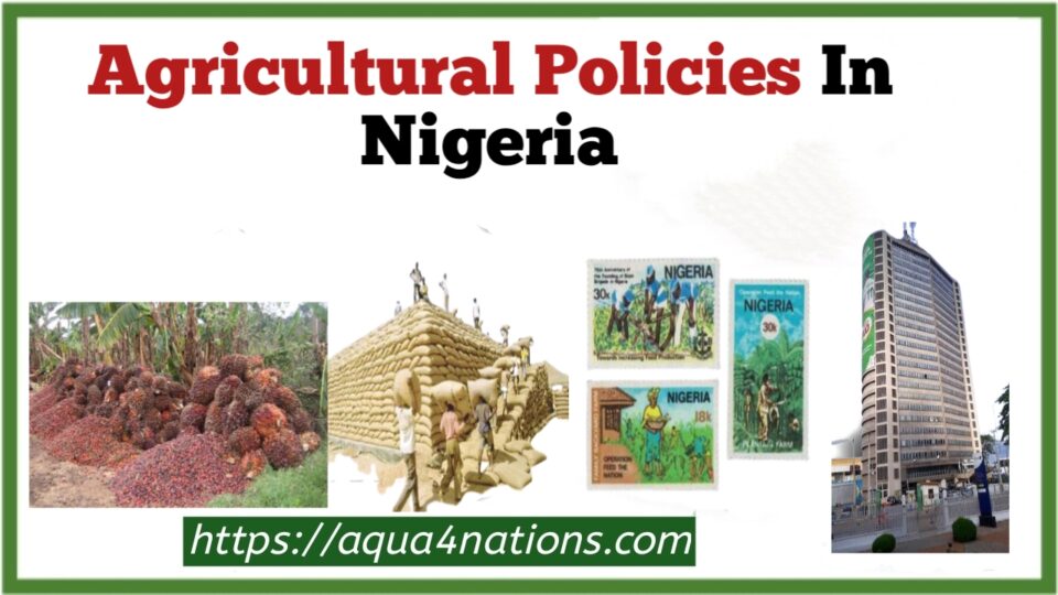 agricultural business plan in nigeria