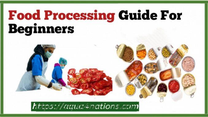 Food Processing Guide For Beginners