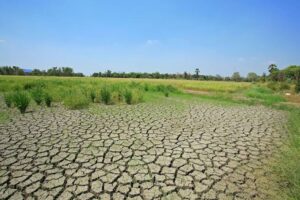 Land Degradation in Nigeria and Possible Solutions