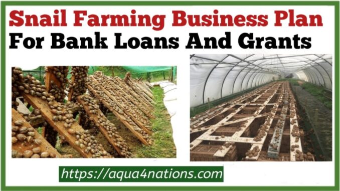Snail Farming Business Plan For Bank Loans And Grants