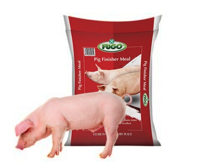 feed-pigs-these-10-foods-and-watch-them-grow-bigger-aqua4nations