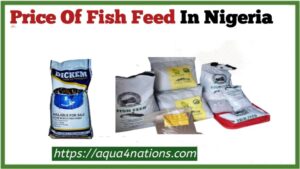 Price Of Fish Feed In Nigeria [2023 Market]